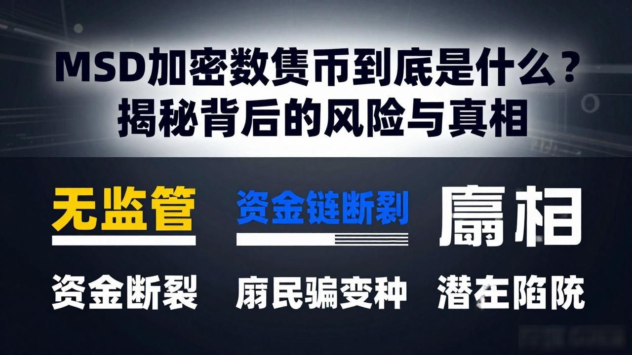 MSD加密数字货币风险_msd加密数字货币是什么意思_MSD与比特币以太坊对比